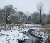 Crane Park Island